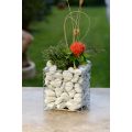 Design Gabionen Kubus 50cm