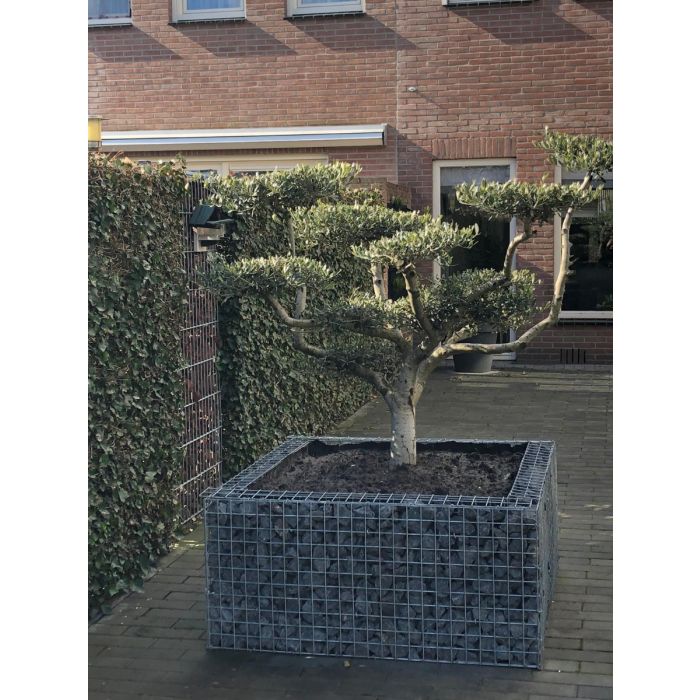 Gabionen Hochbeet Hhe 1m Wandtiefe 15cm | Gabinova