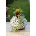 Design Gabionen Kugel 50cm