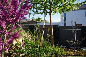 WPC Sichtschutzzaun mit Gabionen – WPC-zaun mit Gabionen