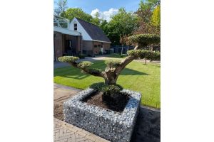 Gabionen Hochbeet – Gabionen Hochbeet. Gabionen Hochbeet