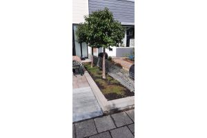 Gabione mit Basaltbruchstein – Gabionen