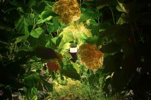 Sense Stimmung – Gabionen LED beleuchtung. Sense Stimmung