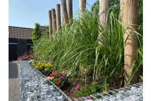 Gabionen Hochbeet – Gabionen Hochbeet. Gabionen Hochbeet