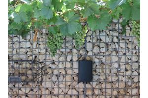 Gabionen LED beleuchtung – Gabionen LED beleuchtung. Gabionen LED beleuchtung