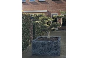 Gabionen Hochbeet – Gabionen Hochbeet. Gabionen Hochbeet