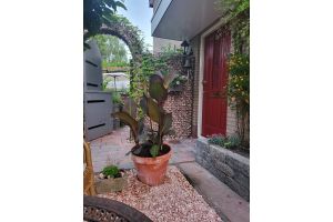 Gabione – Gabionen