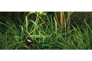 Spots Allgemein Stimmung – Gabionen LED beleuchtung. Spots Allgemein Stimmung