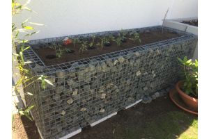 Gabionen Hochbeet – Gabionen Hochbeet. Gabionen Hochbeet