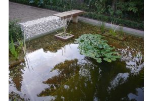 Gabione Gartenteich Sitzbank – Gabionenbank Inspiration. Gabione Gartenteich Sitzbank