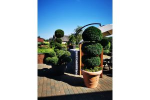 Gabione – Gabionen