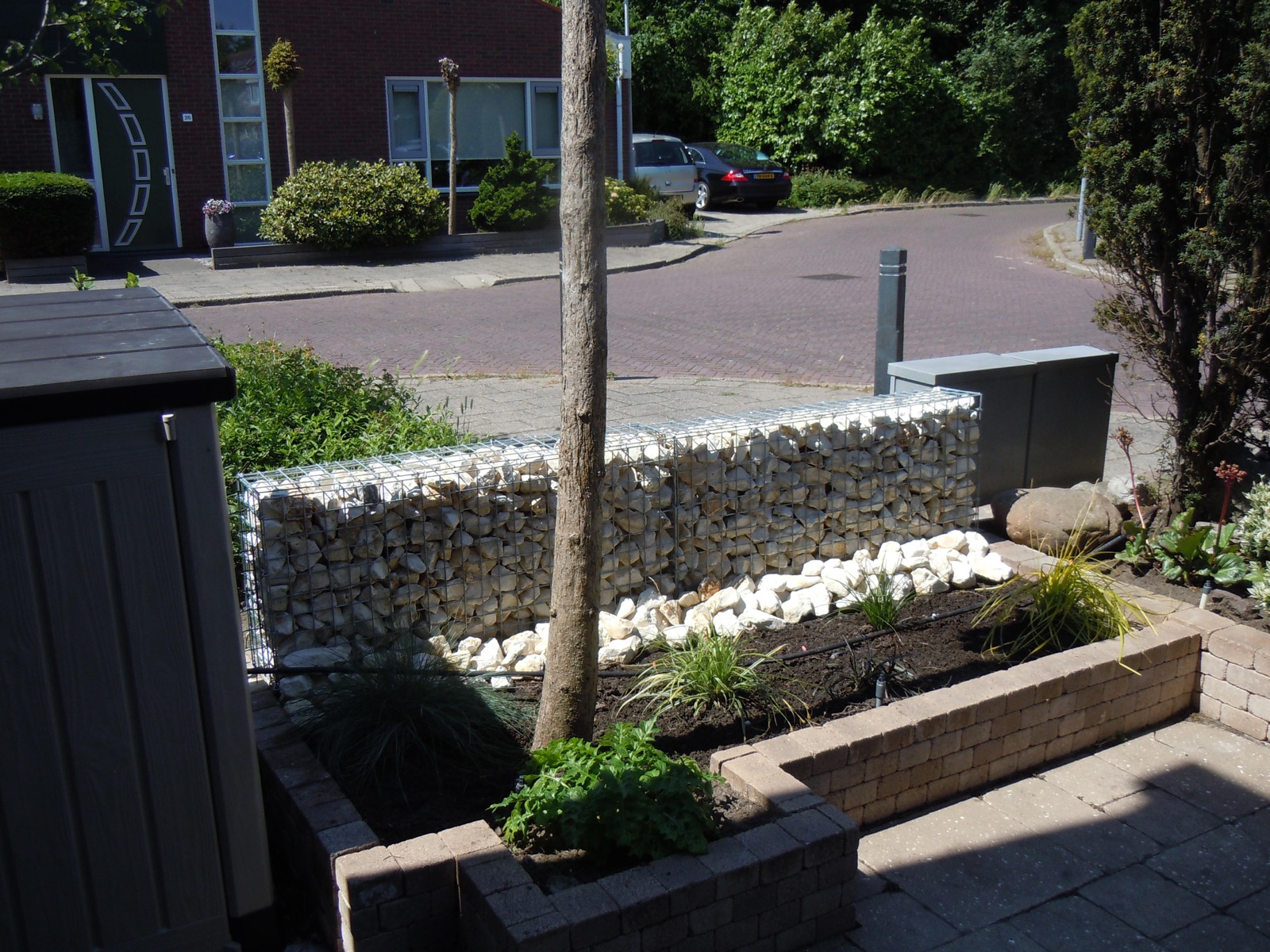 Gabionen als Sichtschutz zur Straße im Vorgarten