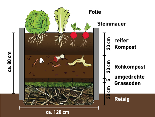 Gabionen-Hochbeet